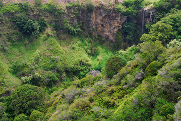 Makamakaole stream waterfall into gulch at north coast of Maui