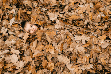 Cheerful boy's face among leaves