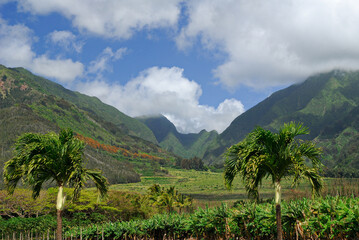 West Maui mountain Puu Kukui gulch at Tropical Plantation