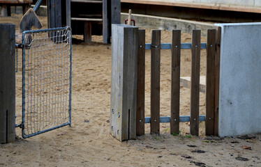 at a children's playground separated by a metal gate with a net string. fencing made of wood  gray...
