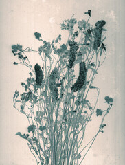 Wild flowers. Daguerreotype style. Film grain. Vintage photography. Botanical negative x-rays scan....