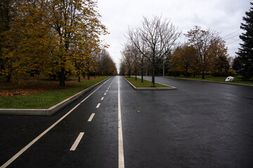 Fototapeta premium alley with the correct geometry stretching into the distance in an autumn park with yellow foliage