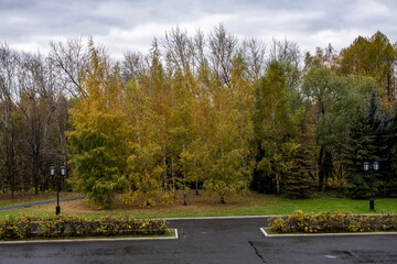 autumn landscapes with yellowed foliage on trees