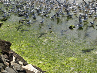 natural beauty of New Zealand Dunedin and Catlin beaches