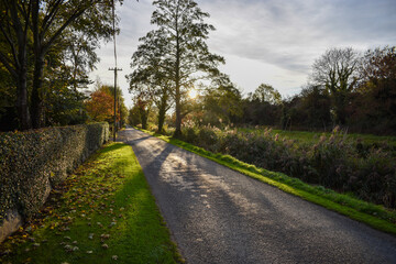Autumn Vista Over Irish Landscape