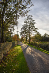 Fototapeta na wymiar Autumn Vista Over Irish Landscape