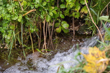 Fototapeta na wymiar Rapid fast stream flowing in the park.