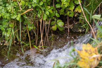 Rapid fast stream flowing in the park.