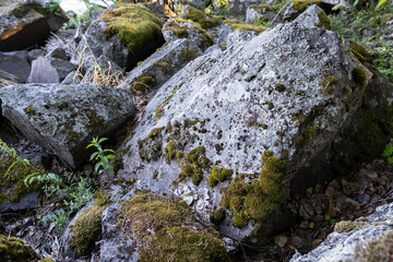 Large, beautiful stones in moss, in the park, in summer. Close-up.