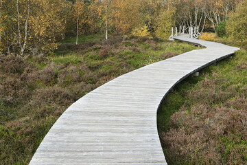 Wooden planks trail, Isle of Amrum, Schleswig-Holstein, Germany