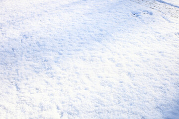 Fototapeta na wymiar 朝の新雪