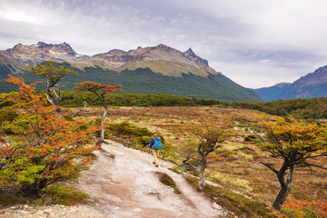 Autumn in Patagonia