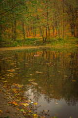 forest lake in warm beautiful autumn. Russian Federation