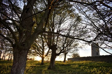 Autumn in Irish Countryside