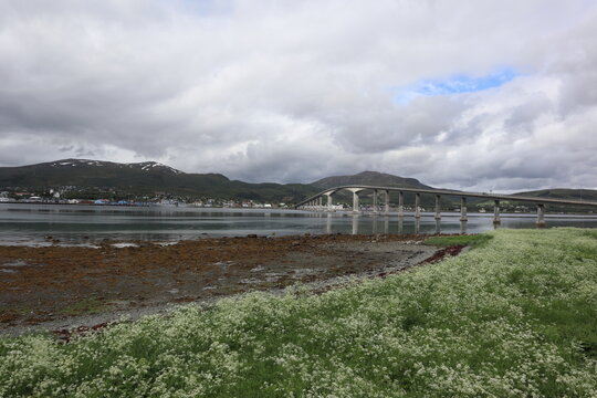Norway - June 23 2019: in the countryside on Vesteralen, Norway