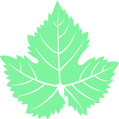 green leaf isolated on white