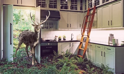 Grüne Küche © Victor zastol'skiy