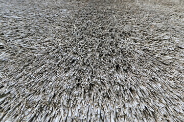 Thatched roof, Isle of Amrum, North Frisian islands, Schleswig-Holstein, Germany