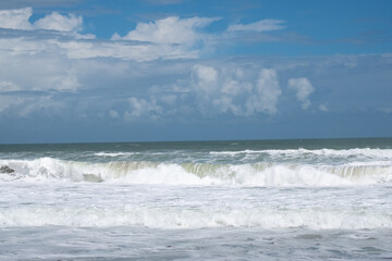 Fototapeta premium wave of the sea