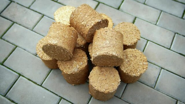 Compressed Wood Pellet Biofuel for Home Heating