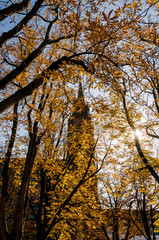 Basel, Münster, Pfalz, Münsterplatz, Stadt, Altstadt, Kirche,  Grossbasel, Kirchturm, Kreuzgang, Herbst, Rhein, Basel-Stadt, Schweiz