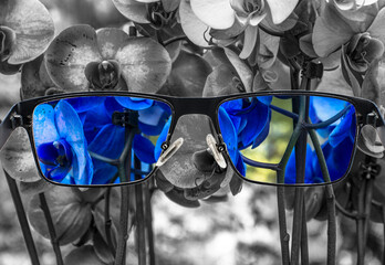 Looking through glasses. View of blue orchids in glasses and monochrome background. Different world...
