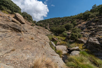 Ravine going through a rocky area in Sierra Nevada