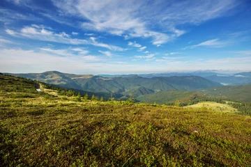 Foto op Plexiglas Carpathian mountains © Galyna Andrushko