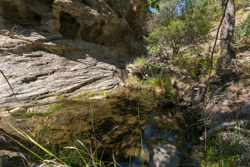 Water flowing down a ravine in the Sierra Nevada