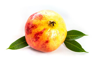 Ripe pomegranate fruit.