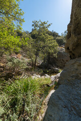 Obraz premium Ravine going through a rocky area in Sierra Nevada