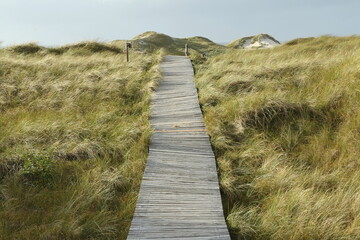 Wooden blanks path, Isle of Amrum, North Frisian islands, Schleswig-Holstein, Germany