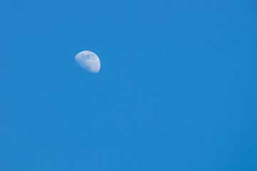 Half-circle of the moon in the blue daytime sky.
