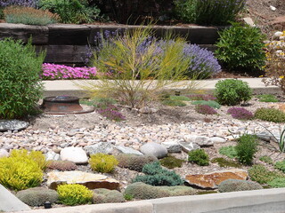 xeriscape garden landscape with rocks and heat tolerant plants; colorful and beautiful
