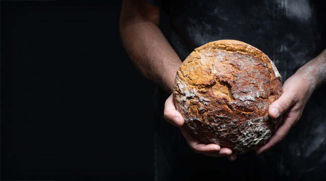 Baker's hands holding and presenting fresh baked loaf of bread