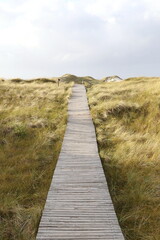 Wooden blanks path, Isle of Amrum, North Frisian islands, Schleswig-Holstein, Germany
