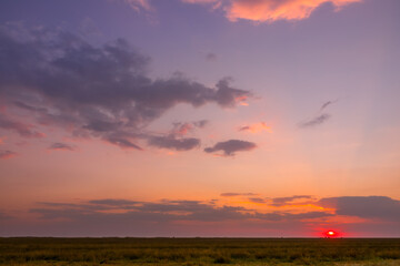 Colorful Sunset over the Summer Steppe Plain