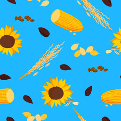 Fototapeta na wymiar Sunflower with corn seamless pattern. Bright yellow flower with brown seeds roach with grains bushes of ripe wheat blue background golden autumn harvest farm vector economy.