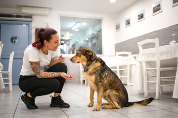 Young owner of the restaurant happily greets the dog. Concept pet friendly and welcoming animals in the restaurant.