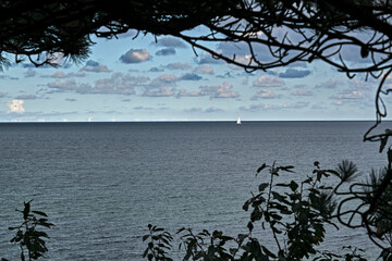 Insel R&uuml;gen.Meerblick vom R&uuml;gener " M&auml;rchenwald " an der K&uuml;ste zwischen M&uuml;llerrinne und Nonnevitz auf der Halbinsel Wittow auf der Insel R&uuml;gen.