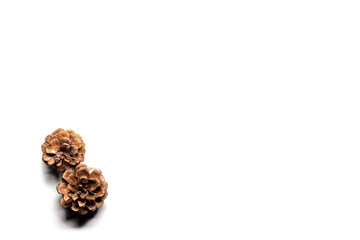Two pine cones on a white background. The bumps are touching each other. Top view with place for text.