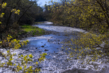The Etobicoke Creek winds its way through the forest at Marie Curtis Park in Toronto (Etobicoke),...
