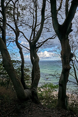 Insel Rügen.Meerblick vom Rügener 