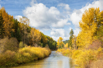 Obraz premium Original autumn landscape photograph of a river winding through gold and green foliage under a cloudy sky