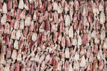 Fresh squid dried Used to cook many different dishes Even when roasting on fire, it tastes delicious.