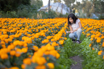 Naklejka na ściany i meble Mexican girl smiling and watching cempasúchil flowers on the field in Xochimilco 
