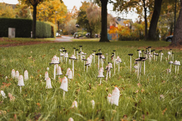 Pilze im Herbst.