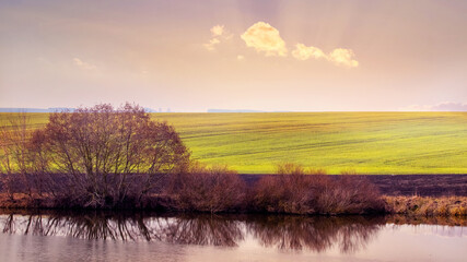 Spring landscape with a field near the river during sunset