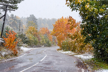 Fototapeta premium The first snow in Karelia