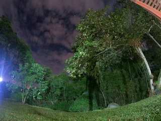 La Noche © Sacho